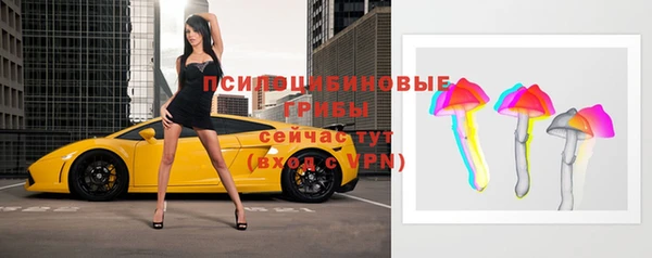 гидропоника Кодинск