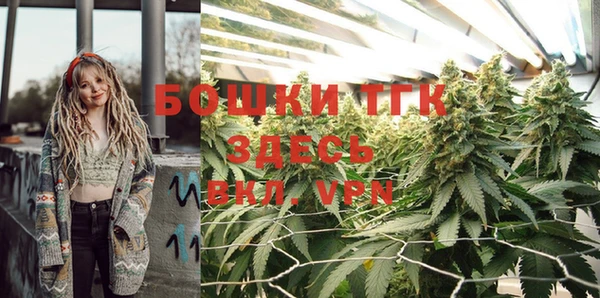 ALPHA PVP Козельск
