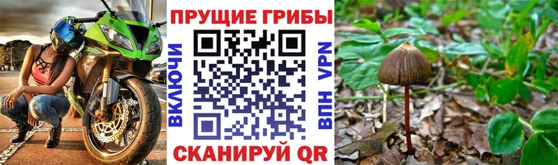 Галлюциногенные грибы Magic Shrooms  Купить  Коломна 